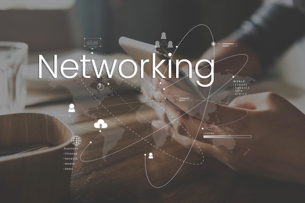 Networking: Building the Digital Highways